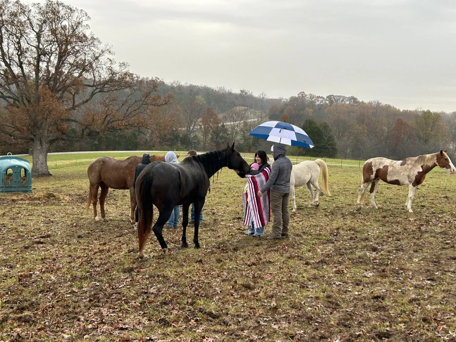A family gathered with horses in a winter pasture