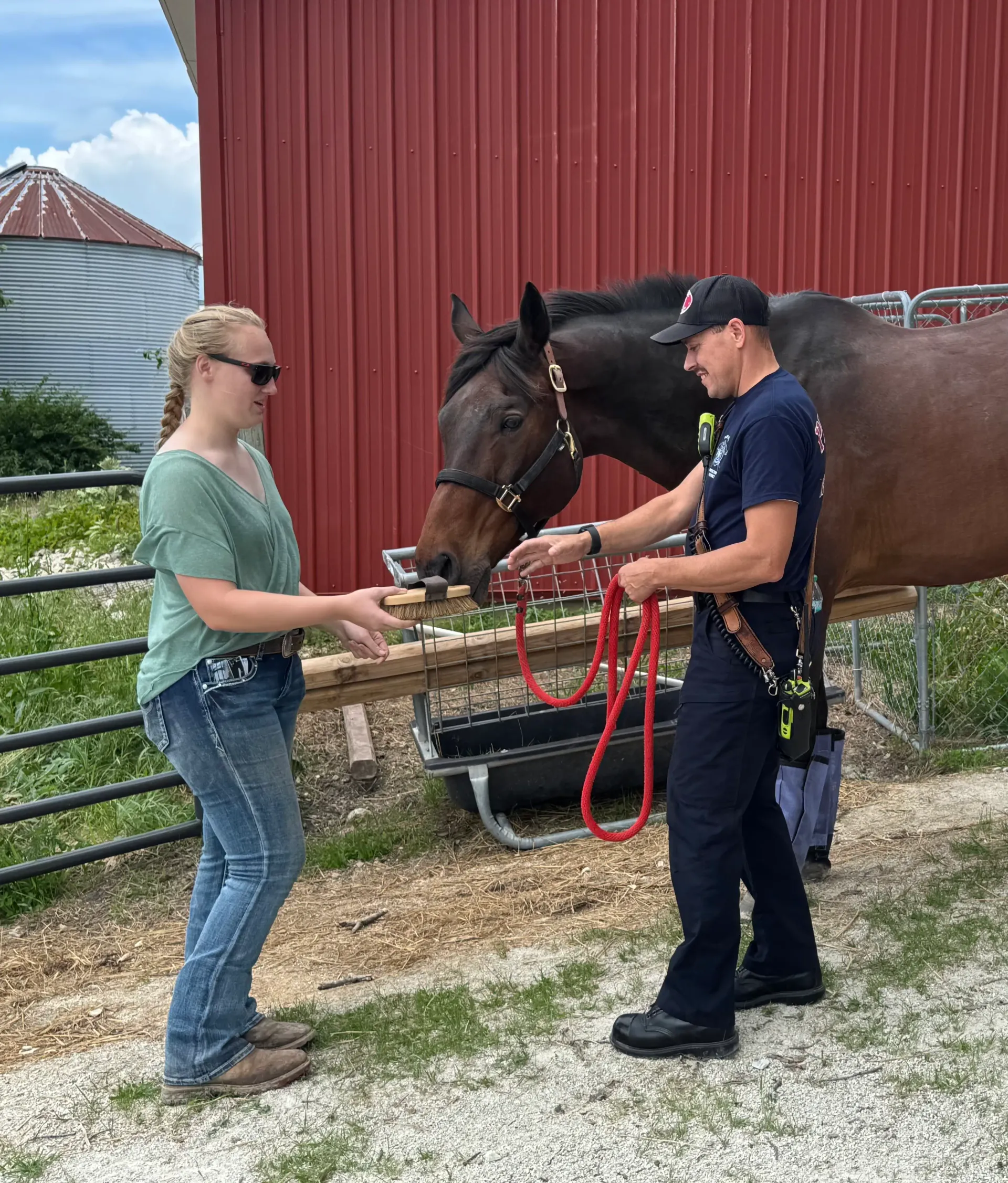 A first responder brushing a bay horse beside a red barn