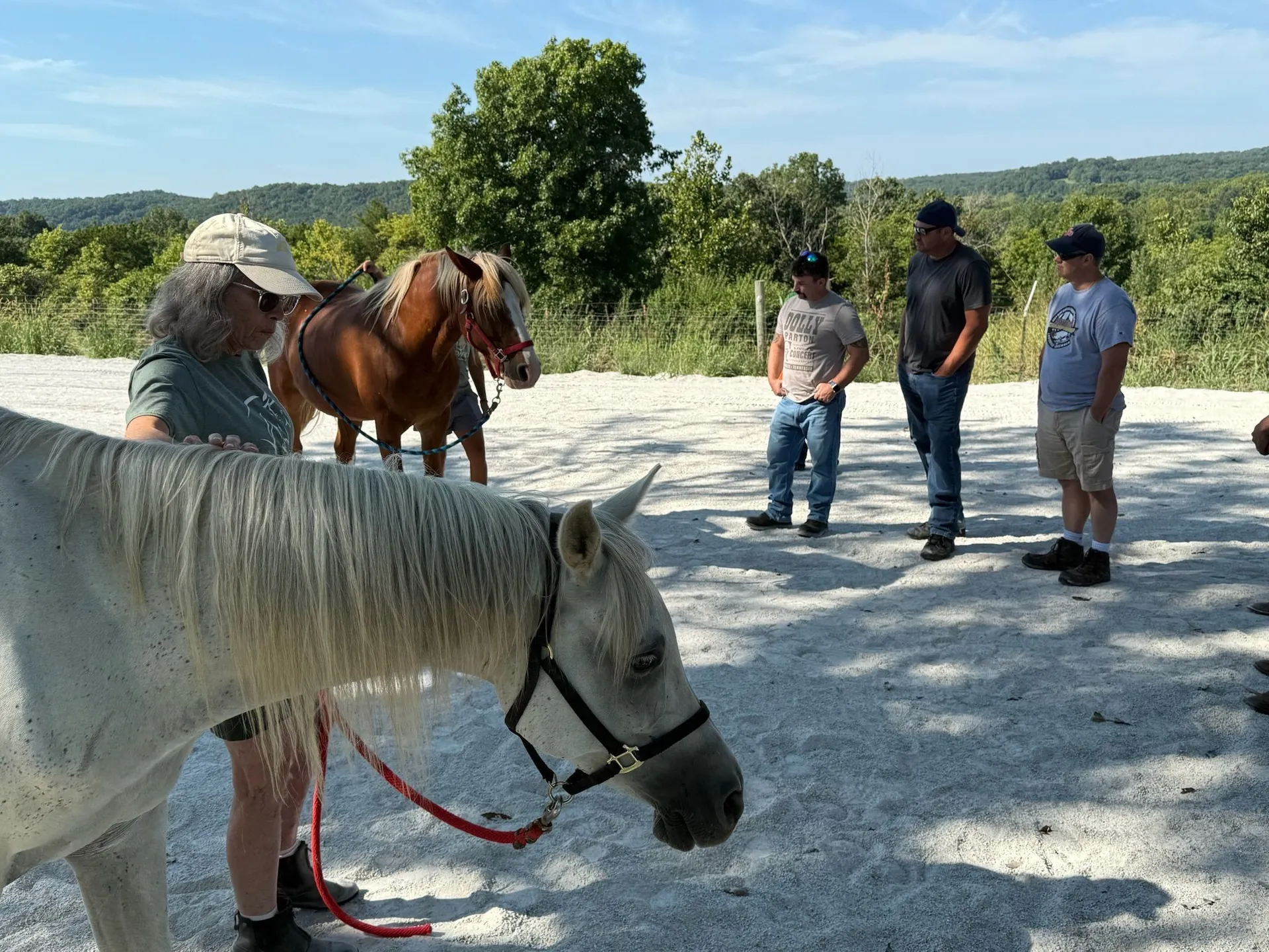 A white horse and participants gathered outdoors