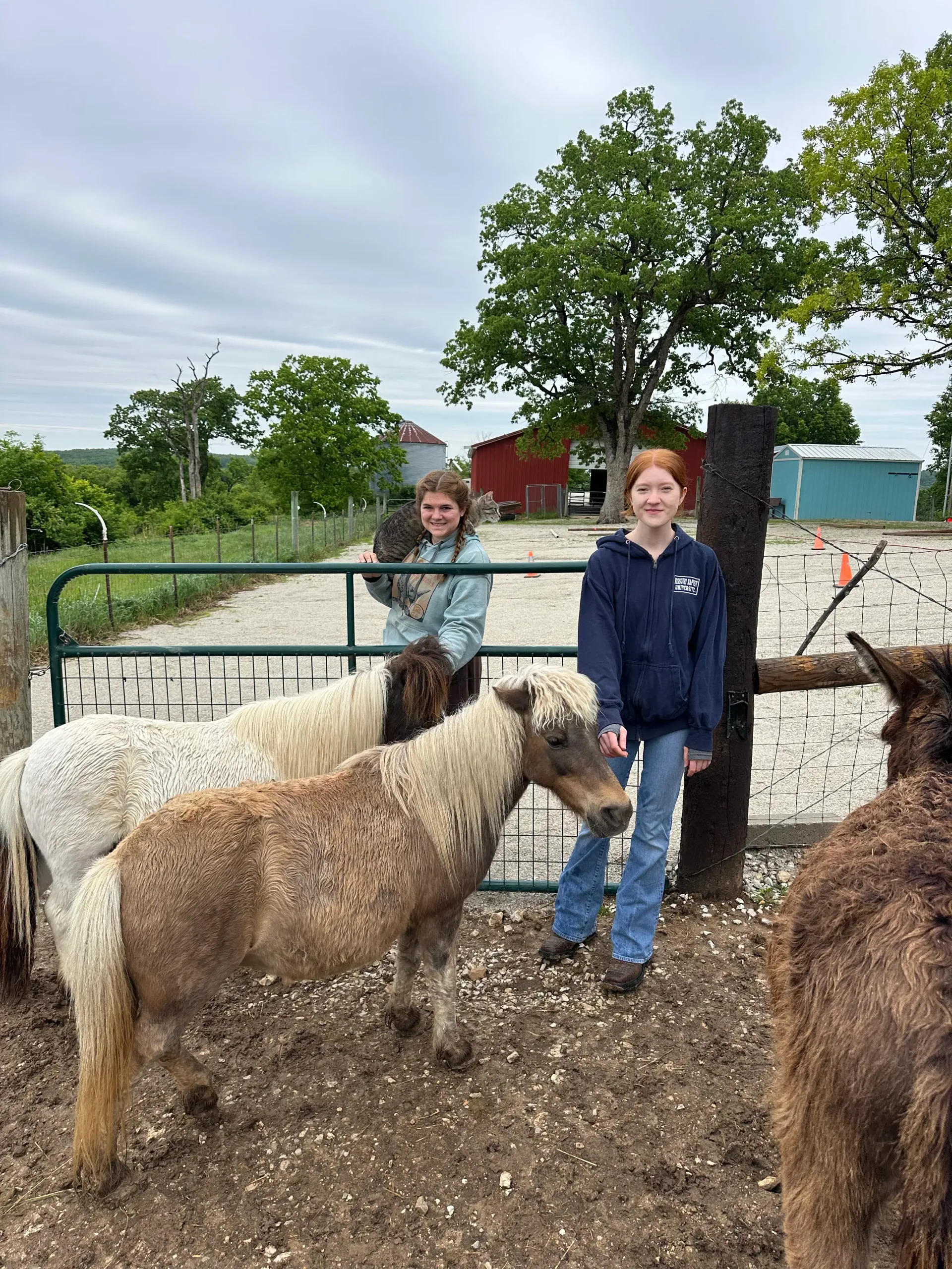 Two girls standing with miniature ponies and a donkey at the farm