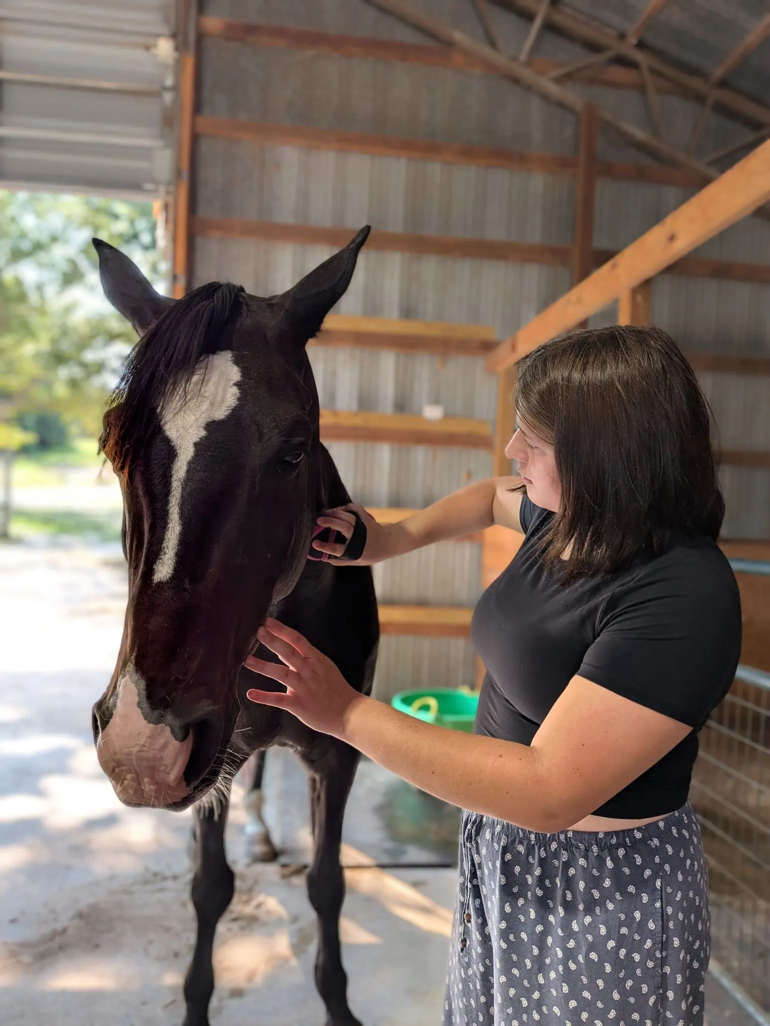 A young woman gently grooming a black horse with a blaze in the barn